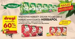 Biedronka Herbata zimowy sekret Herbapol Herbaciany Ogród oferta