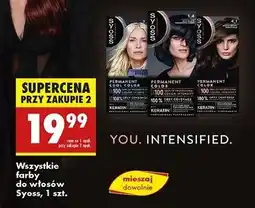 Biedronka Farba do włosów 4.1 Syoss Professional Performance oferta