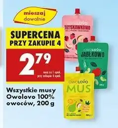 Biedronka Mus jabłko-gruszka-ananas Owolovo oferta