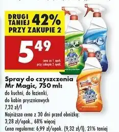 Biedronka Spray do kabin przysznicowych Mr Magic oferta