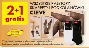 Biedronka Skarpety stopki Cleve oferta