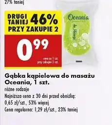 Biedronka Gąbka do masażu Oceania oferta