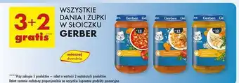 Biedronka Obiadek warzywa z kurczakiem i kaszą Gerber Junior oferta