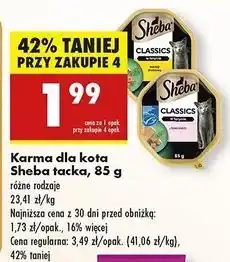 Biedronka Karma dla kota pate z koktajlem drobiowym Sheba Classics oferta