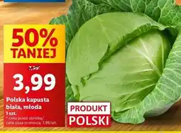 Lidl Kapusta młoda polska oferta