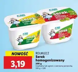 Lidl Serek z czerwoną porzeczką Rolmlecz oferta