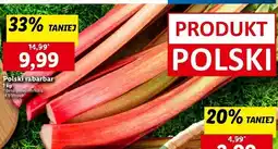 Lidl Rabarbar polska oferta