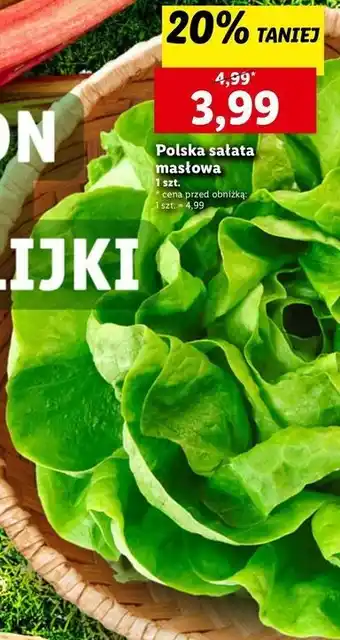 Lidl Sałata masłowa oferta
