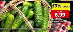 Lidl Ogórek gruntowy polska oferta