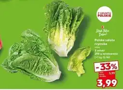 Kaufland Sałata rzymska mini K-Classic Stąd Takie Dobre! oferta