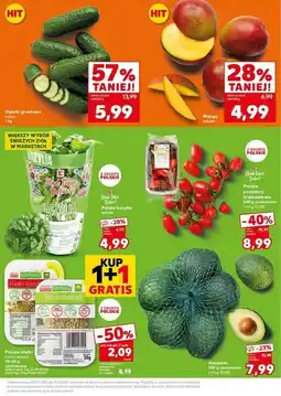 Kaufland Bazylia K-Classic Stąd Takie Dobre! oferta