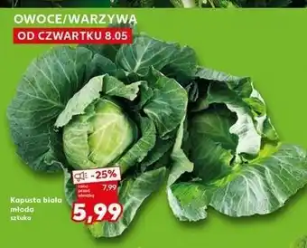 Kaufland Kapusta młoda oferta