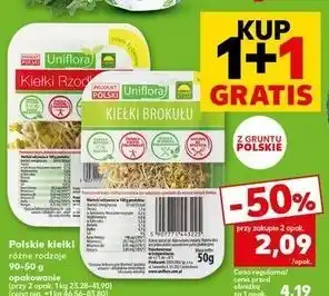 Kaufland Kiełki rzodkiewki Uniflora oferta