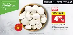 Biedronka Pieczarka oferta