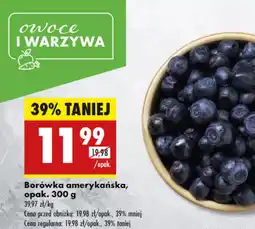 Biedronka Borówka amerykańska oferta