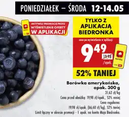 Biedronka Borówka amerykańska oferta