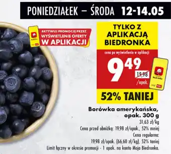 Biedronka Borówka amerykańska oferta