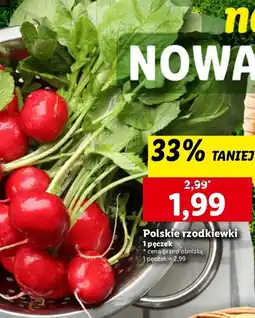 Lidl Rzodkiewka oferta