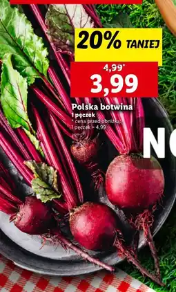 Lidl Botwina polska oferta