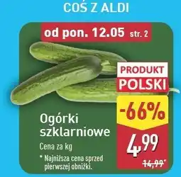 ALDI Ogórek szklarniowy polska oferta