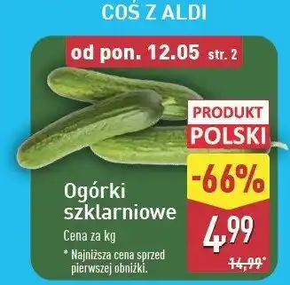 ALDI Ogórek szklarniowy polska oferta