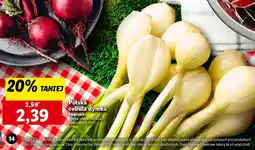 Lidl Cebula dymka polska oferta
