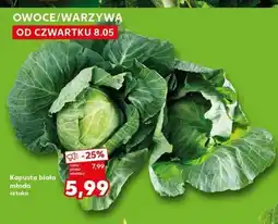 Kaufland Kapusta młoda oferta
