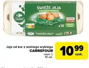 Globi Jaja od kur z wolnego wybiegu CARREFOUR rozmiar L 10 szt oferta