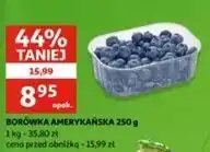 Auchan Borówki amerykańskie oferta