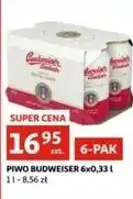 Auchan Piwo Budweiser oferta