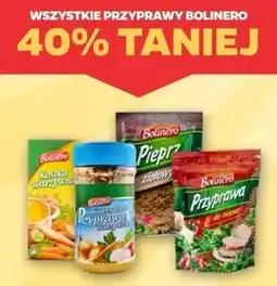 Netto Przyprawy Bolinero oferta