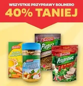 Netto Przyprawy Bolinero oferta