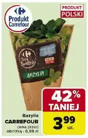 Carrefour Bazylia Carrefour Targ Świeżości oferta