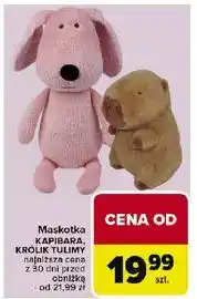 Carrefour Królik tulimy oferta