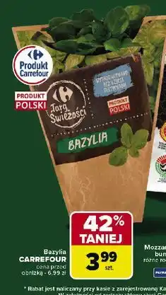 Carrefour Bazylia Carrefour Targ Świeżości oferta