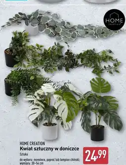 ALDI Lampion chiński Home Creation oferta