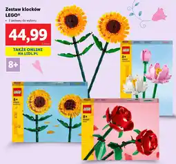 Lidl Zestaw klocków LEGO oferta