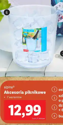 Lidl Akcesoria piknikowe alpina oferta