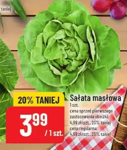 Polomarket Sałata masłowa 1 szt. POLOmarket oferta