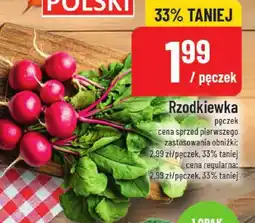 Polomarket Rzodkiewka pęczek POLOmarket oferta