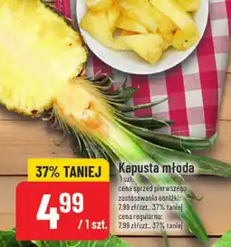 Polomarket Kapusta młoda POLOmarket oferta