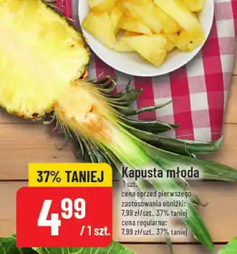Polomarket Kapusta młoda POLOmarket oferta