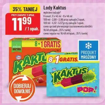 Polomarket Lody Kaktus oferta