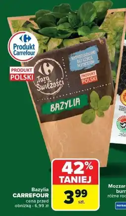 Carrefour Bazylia Targ Świeżości 3 szt oferta