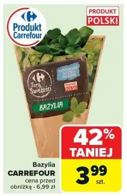 Carrefour Market Bazylia CARREFOUR oferta
