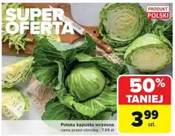 Carrefour Market Kapusta wczesna Carrefour Market oferta