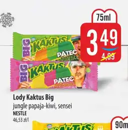 MOKPOL Lody Kaktus oferta