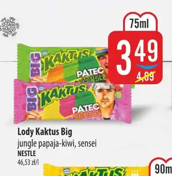 MOKPOL Lody Kaktus oferta