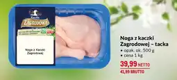 Makro Noga z kaczki Zagrodowa oferta