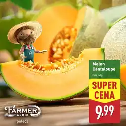 ALDI Melon K! oferta